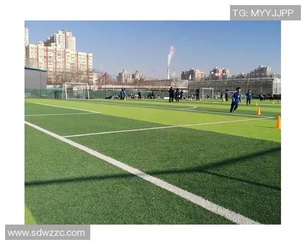 足球日子o:在绿茵场上追逐梦想与激情的青春岁月 足球日子o:在绿茵场上追逐梦想与激情的青春岁月