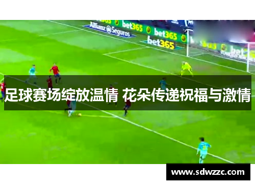 足球赛场绽放温情 花朵传递祝福与激情