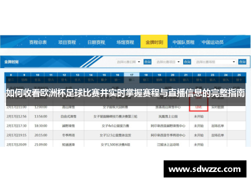 如何收看欧洲杯足球比赛并实时掌握赛程与直播信息的完整指南