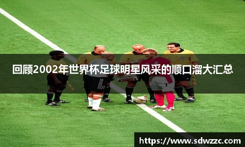 回顾2002年世界杯足球明星风采的顺口溜大汇总